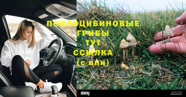 трава Богородск