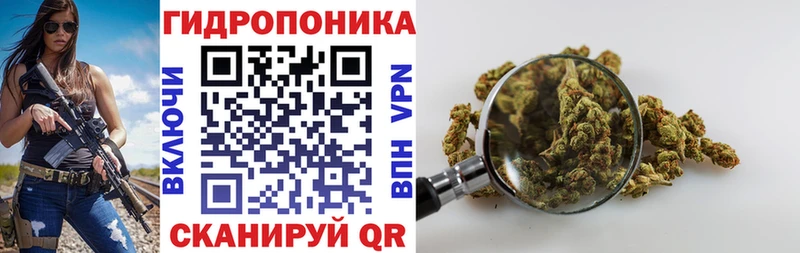 хочу   Кимовск  Бошки марихуана индика 